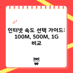 인터넷 속도 선택 가이드: 100M, 500M, 1G 비교