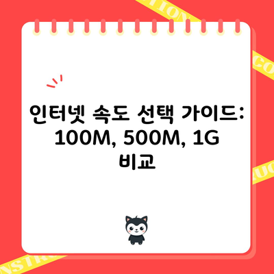 인터넷 속도 선택 가이드: 100M, 500M, 1G 비교