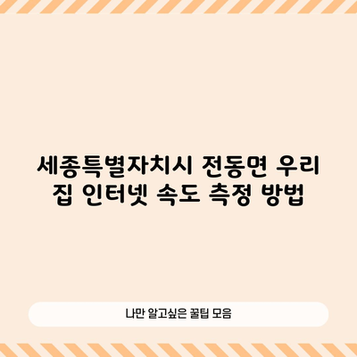 세종특별자치시 전동면 우리 집 인터넷 속도 측정 방법