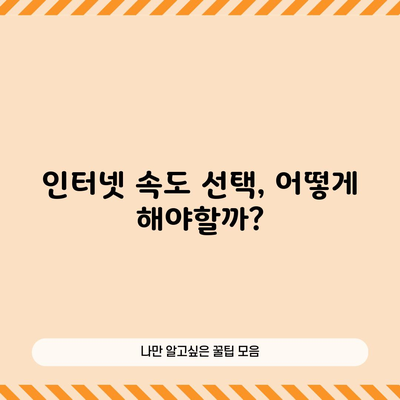 인터넷 속도 선택, 어떻게 해야할까?