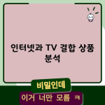 인터넷과 TV 결합 상품 분석