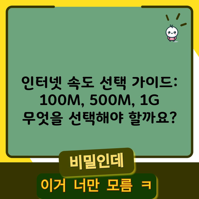 인터넷 속도 선택 가이드: 100M, 500M, 1G 무엇을 선택해야 할까요?