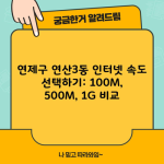 연제구 연산3동 인터넷 속도 선택하기: 100M, 500M, 1G 비교