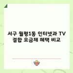 서구 월평1동 인터넷과 TV 결합 요금제 혜택 비교