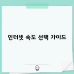 인터넷 속도 선택 가이드