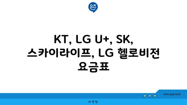 KT, LG U+, SK, 스카이라이프, LG 헬로비전 요금표