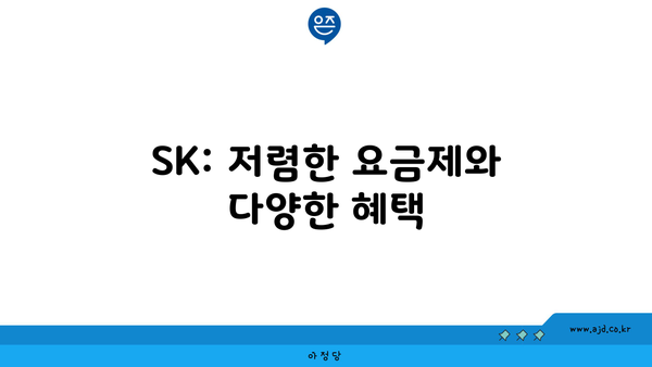 SK: 저렴한 요금제와 다양한 혜택