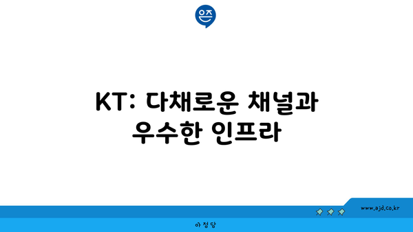 KT: 다채로운 채널과 우수한 인프라