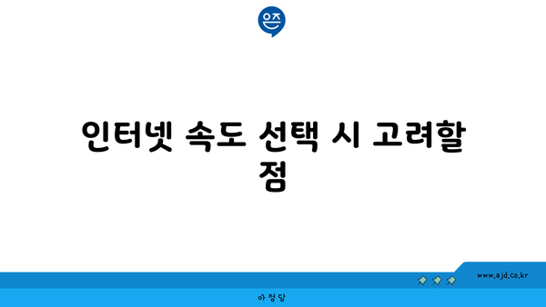 인터넷 속도 선택 시 고려할 점