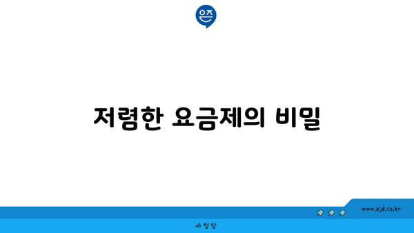 저렴한 알뜰 인터넷 요금제의 비밀