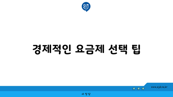 경제적인 요금제 선택 팁