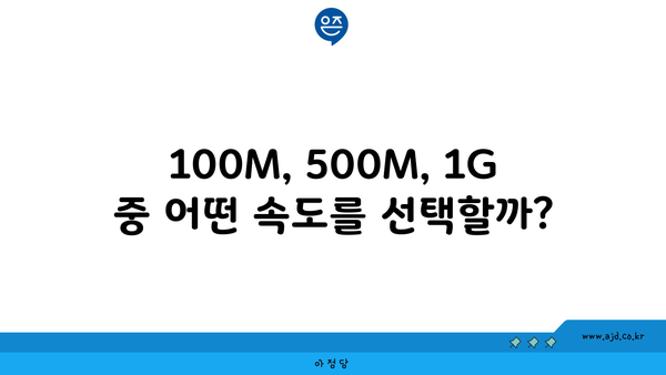 100M, 500M, 1G 중 어떤 속도를 선택할까?