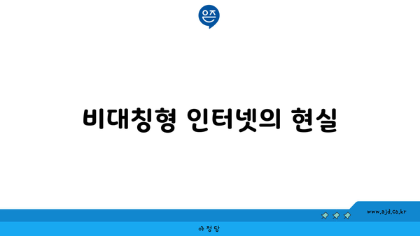 비대칭형 인터넷의 현실