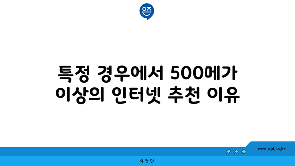 특정 경우에서 500메가 이상의 인터넷 추천 이유