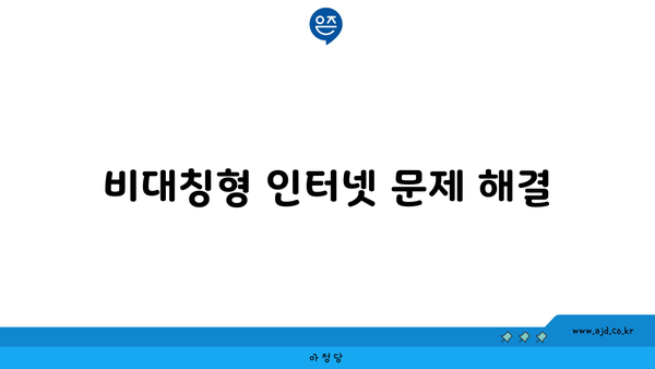 비대칭형 인터넷 문제 해결