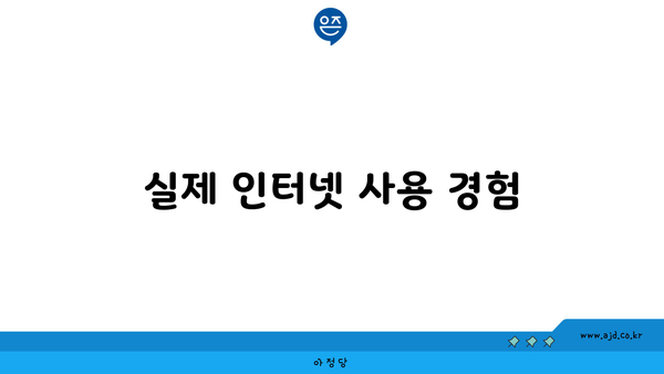 실제 인터넷 사용 경험