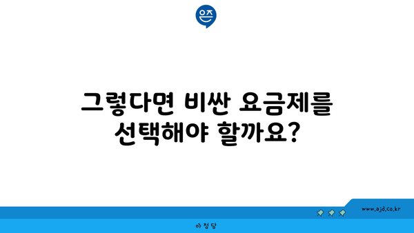 그렇다면 비싼 요금제를 선택해야 할까요?