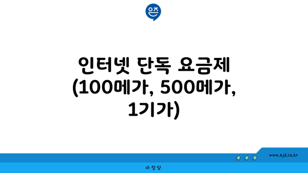 인터넷 단독 요금제 (100메가, 500메가, 1기가)