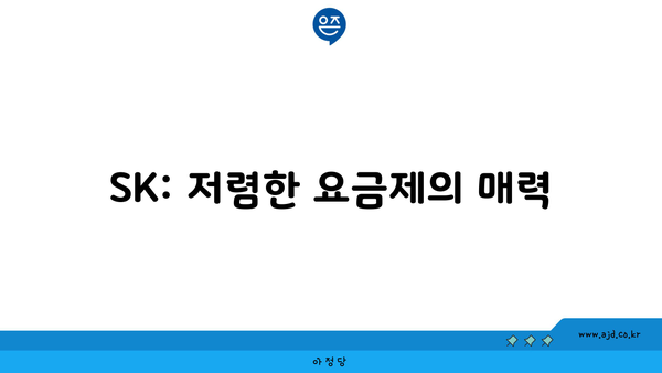 SK: 저렴한 요금제의 매력