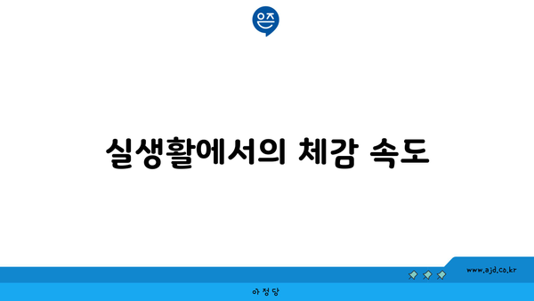 실생활에서의 체감 속도