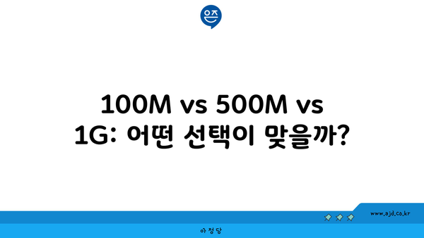 100M vs 500M vs 1G: 어떤 선택이 맞을까?