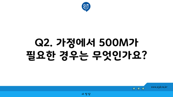 Q2. 가정에서 500M가 필요한 경우는 무엇인가요?