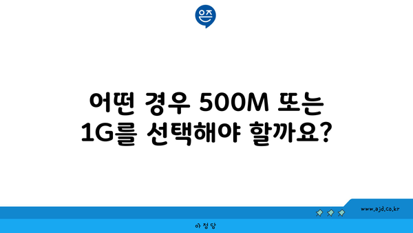 어떤 경우 500M 또는 1G를 선택해야 할까요?