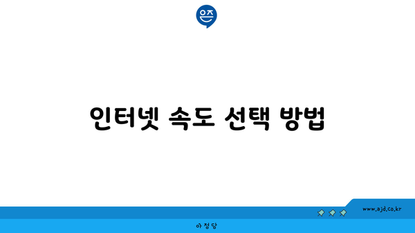 인터넷 속도 선택 방법