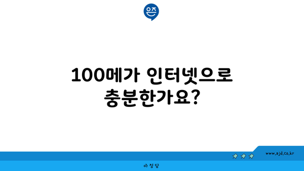 100메가 인터넷으로 충분한가요?