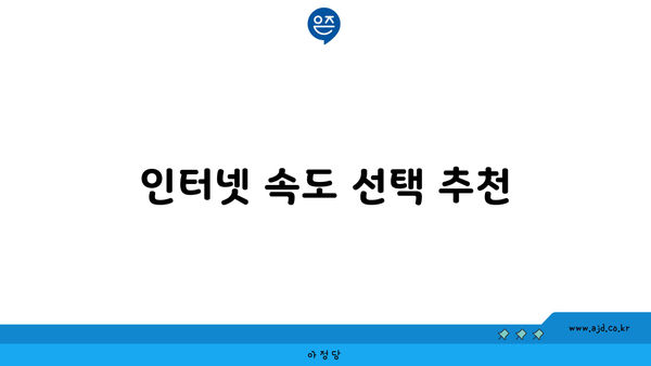 인터넷 속도 선택 추천