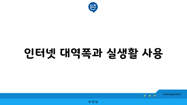 인터넷 대역폭과 실생활 사용