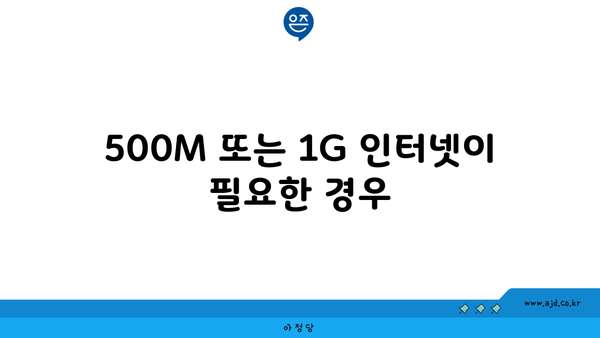 500M 또는 1G 인터넷이 필요한 경우