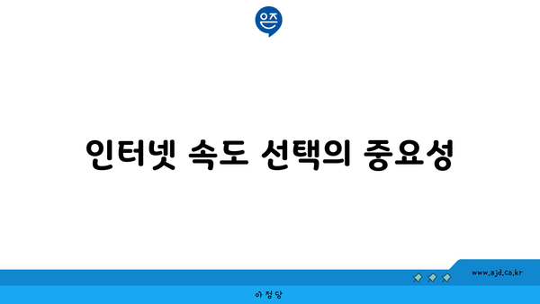 인터넷 속도 선택의 중요성