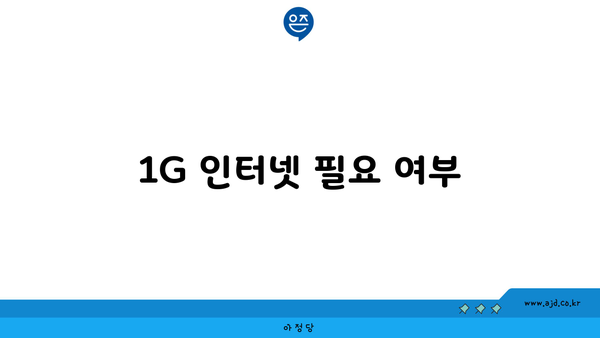 1G 인터넷 필요 여부