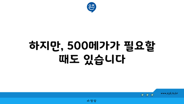 하지만, 500메가가 필요할 때도 있습니다