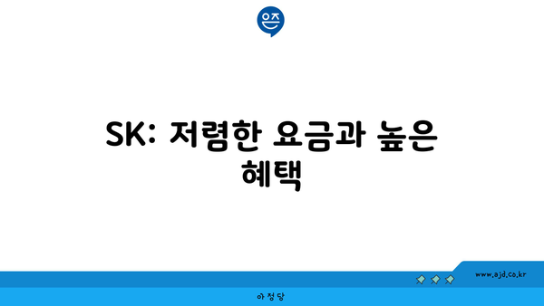 SK: 저렴한 요금과 높은 혜택