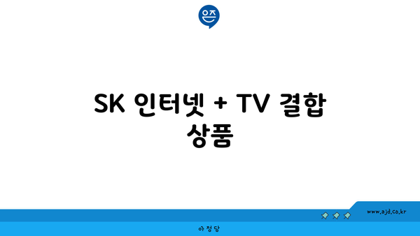 SK 인터넷 + TV 결합 상품