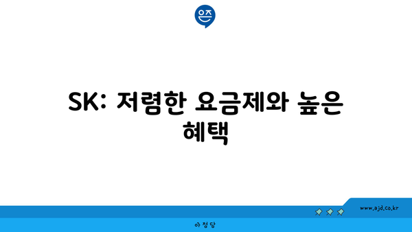 SK: 저렴한 요금제와 높은 혜택