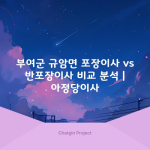 부여군 규암면 포장이사 vs 반포장이사 비교 분석 | 아정당이사