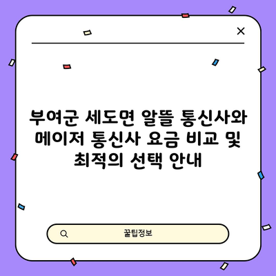 부여군 세도면 알뜰 통신사와 메이저 통신사 요금 비교 및 최적의 선택 안내