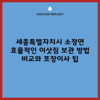 세종특별자치시 소정면 효율적인 이삿짐 보관 방법 비교와 포장이사 팁