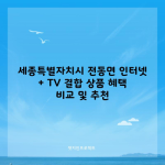 세종특별자치시 전동면 인터넷 가입 TV 결합 상품 혜택 비교 및 추천 2024