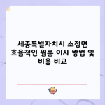 세종특별자치시 소정면 효율적인 원룸 이사 방법 및 비용 비교