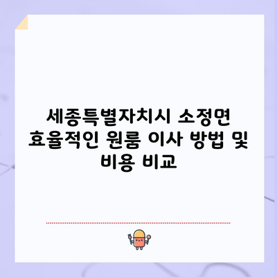 세종특별자치시 소정면 효율적인 원룸 이사 방법 및 비용 비교