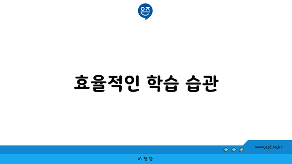 효율적인 학습 습관