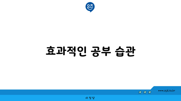 효과적인 공부 습관