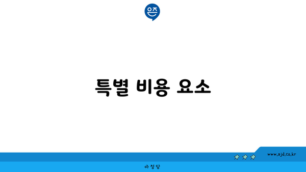 특별 비용 요소