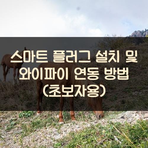 스마트 플러그 설치 및 와이파이 연동 방법 (초보자용)