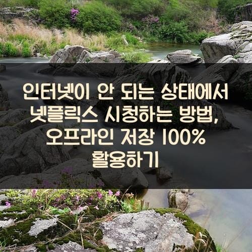 인터넷이 안 되는 상태에서 넷플릭스 시청하는 방법, 오프라인 저장 100% 활용하기