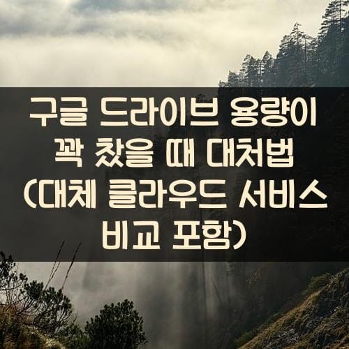 구글 드라이브 용량이 꽉 찼을 때 대처법 (대체 클라우드 서비스 비교 포함)